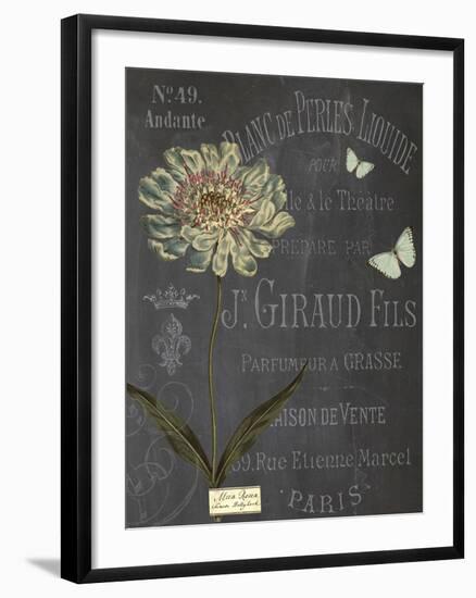 Vintage Botanical - Scabious-Stephanie Monahan-Framed Giclee Print