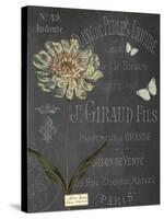 Vintage Botanical - Scabious-Stephanie Monahan-Stretched Canvas