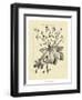 Vintage Botanical Study I-Sellier-Framed Art Print