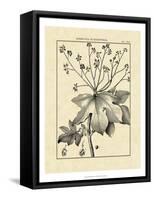 Vintage Botanical Study I-Sellier-Framed Stretched Canvas