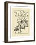 Vintage Botanical Study I-Sellier-Framed Art Print