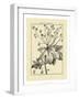 Vintage Botanical Study I-Sellier-Framed Art Print