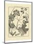 Vintage Botanical Study II-Sellier-Mounted Art Print