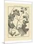Vintage Botanical Study II-Sellier-Mounted Art Print