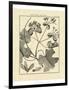 Vintage Botanical Study II-Sellier-Framed Art Print