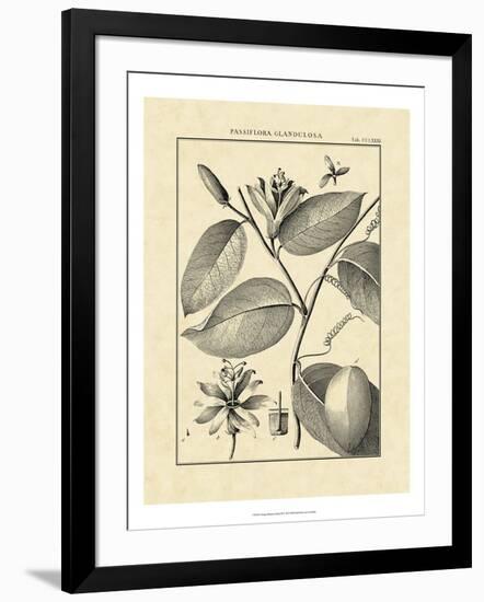 Vintage Botanical Study III-Sellier-Framed Art Print