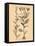 Vintage Botanical VI-Gregory Gorham-Framed Stretched Canvas