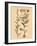 Vintage Botanical VI-Gregory Gorham-Framed Art Print