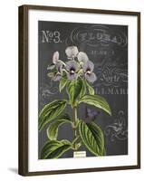 Vintage Botanical - Wildflower-Stephanie Monahan-Framed Giclee Print