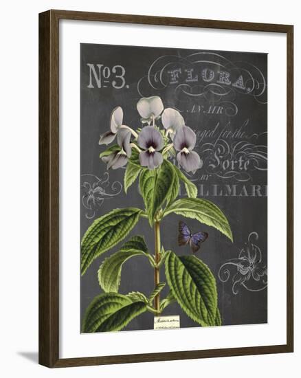 Vintage Botanical - Wildflower-Stephanie Monahan-Framed Giclee Print