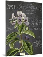 Vintage Botanical - Wildflower-Stephanie Monahan-Mounted Giclee Print