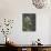 Vintage Botanical - Wildflower-Stephanie Monahan-Mounted Giclee Print displayed on a wall