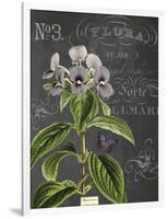 Vintage Botanical - Wildflower-Stephanie Monahan-Framed Giclee Print