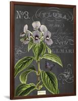 Vintage Botanical - Wildflower-Stephanie Monahan-Framed Giclee Print