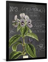 Vintage Botanical - Wildflower-Stephanie Monahan-Framed Giclee Print