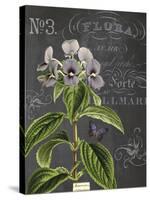 Vintage Botanical - Wildflower-Stephanie Monahan-Stretched Canvas