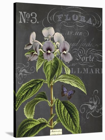 Vintage Botanical - Wildflower-Stephanie Monahan-Stretched Canvas