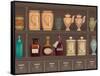 Vintage Bottles and Jars in the Pharmacy Cabinet-Milovelen-Framed Stretched Canvas