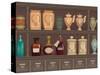 Vintage Bottles and Jars in the Pharmacy Cabinet-Milovelen-Stretched Canvas