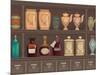 Vintage Bottles and Jars in the Pharmacy Cabinet-Milovelen-Mounted Art Print