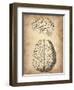 Vintage Brain Anatomy-NaxArt-Framed Art Print