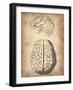 Vintage Brain Anatomy-NaxArt-Framed Art Print