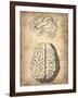 Vintage Brain Anatomy-NaxArt-Framed Art Print