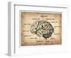 Vintage Brain Map Anatomy-NaxArt-Framed Art Print