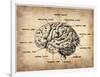 Vintage Brain Map Anatomy-NaxArt-Framed Art Print