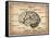 Vintage Brain Map Anatomy-NaxArt-Framed Stretched Canvas