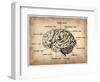 Vintage Brain Map Anatomy-NaxArt-Framed Art Print