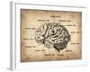 Vintage Brain Map Anatomy-NaxArt-Framed Art Print