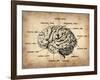 Vintage Brain Map Anatomy-NaxArt-Framed Art Print