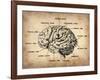 Vintage Brain Map Anatomy-NaxArt-Framed Art Print