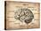 Vintage Brain Map Anatomy-NaxArt-Stretched Canvas