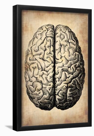 Vintage Brain-NaxArt-Framed Poster