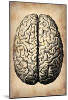 Vintage Brain-NaxArt-Mounted Poster