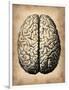 Vintage Brain-NaxArt-Framed Art Print