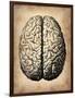 Vintage Brain-NaxArt-Framed Art Print