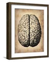 Vintage Brain-NaxArt-Framed Art Print