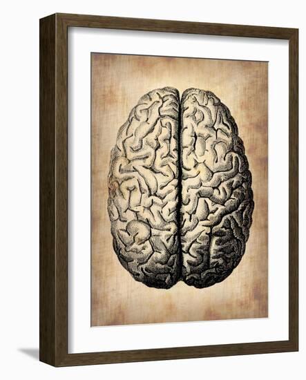 Vintage Brain-NaxArt-Framed Art Print