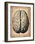Vintage Brain-NaxArt-Framed Art Print