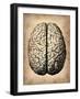 Vintage Brain-NaxArt-Framed Art Print