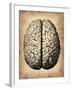 Vintage Brain-NaxArt-Framed Art Print