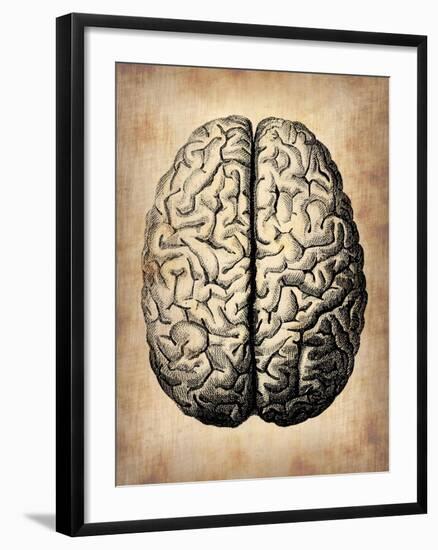 Vintage Brain-NaxArt-Framed Art Print