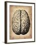 Vintage Brain-NaxArt-Framed Art Print