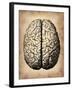 Vintage Brain-NaxArt-Framed Art Print