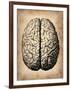 Vintage Brain-NaxArt-Framed Art Print