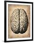 Vintage Brain-NaxArt-Framed Art Print