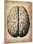 Vintage Brain-NaxArt-Mounted Art Print